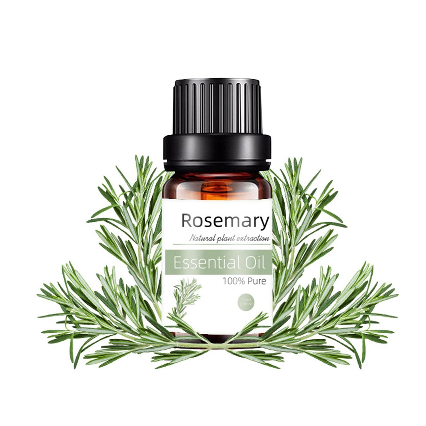 “Rosemary Essential Oil – Natural Hair Growth & Scalp Care (10ML) Beauty Salon Facial Massage Essential Oil